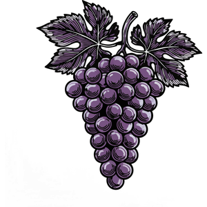 A Bunch of Concord Grapes