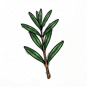 A Sprig of Fresh Tarragon