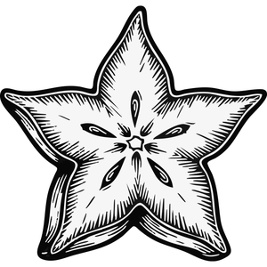 A Star Fruit Slice