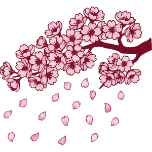 Falling Cherry Blossoms