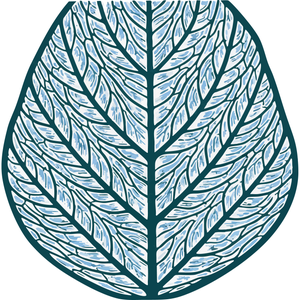 A Leaf's Vein Structure