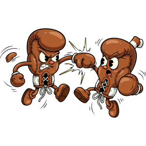 A Pair of Boxing Gloves in a Fierce Fight